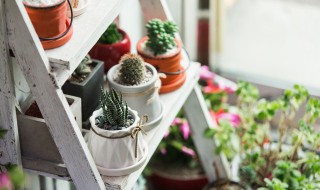 塑料瓶怎样才能分辨那些好不好（怎样识别塑料瓶好坏）