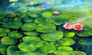 睡莲作品色彩感觉是什么 睡莲系列作品的色彩感