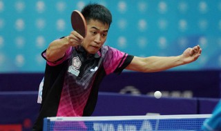 江宏杰是哪国的乒乓球员 江宏杰是哪国的乒乓球员呀