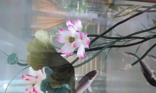 蜀绣的主要原材料（蜀绣的主要原材料是）