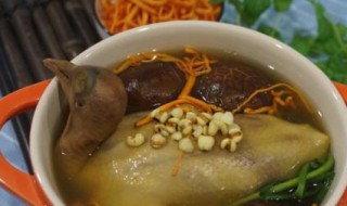 草菇乳鸽汤 草菇和鸽子能一起吃吗