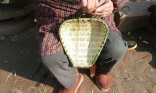 筲箕怎么读（筲箕怎么读广东话）