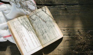 李代桃僵的故事（李代桃僵的故事简介）