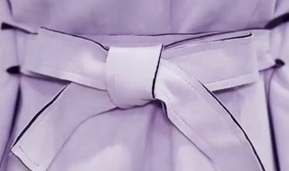 蝴蝶结有什么寓意(蝴蝶结有什么寓意和象征)