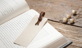 栉沐风雨成语解释（栉风沐雨的意思及成语解释）