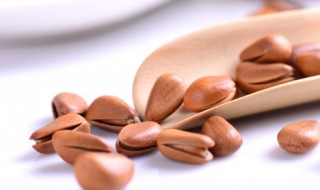 松籽的作用与功效（松籽的作用与功效）