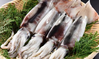 墨鱼骨有哪些妙用方法 墨鱼骨有哪些妙用方法视频