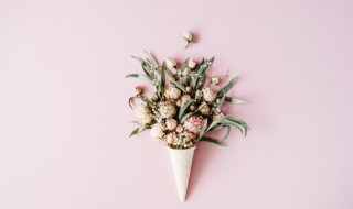 情人节送多少朵玫瑰为佳（情人节送多少朵玫瑰合适）