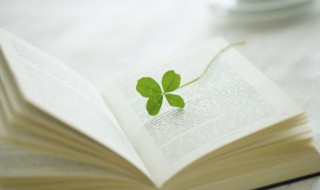 不知老之将至成语解释（不知老之将至成语解释是什么）