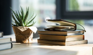 前门去虎后门进狼成语解释（前门去虎后门进狼成语解释是什么）