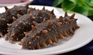 即食海参的吃法 即食海参的吃法 这样吃才营养