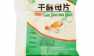 酵母片的作用是什么(酵母片的作用是什么呢)