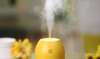 什么情况下用加湿器（什么情况下加湿器要换棉条）