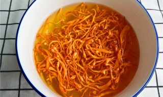 虫草花的食用方法 虫草花的食用方法及禁忌