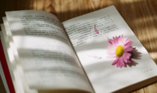 湖的组词 绕的组词