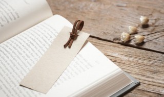 枫树的枫组词（枫树的枫组词有哪些）