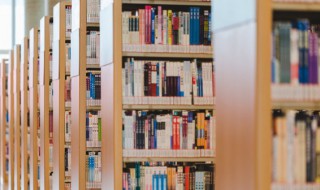 骄傲的傲组词 骄傲的傲组词组什么