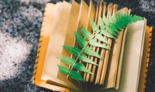 我的组词有哪些 我的组词有哪些呢一年级