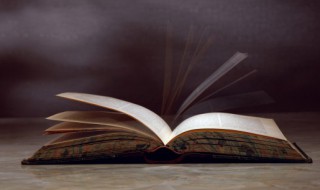 奈的组词（拯的组词）