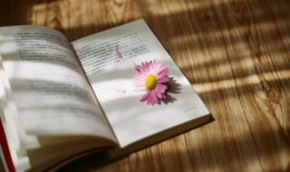 一个黑一个出读什么 一个黑一个出读什么字