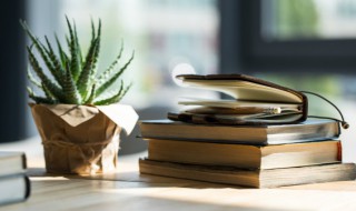 一个土一个乞读什么（左土右乞读什么）