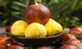 唐朝板栗的制作方法 板栗的制作方法