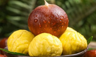 板栗酒的制作方法（板栗酒怎么制作）