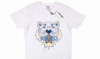 老虎头衣服是什么牌子 镶钻老虎头衣服是什么牌子