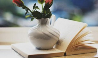 增字组词（增字组词语和拼音）