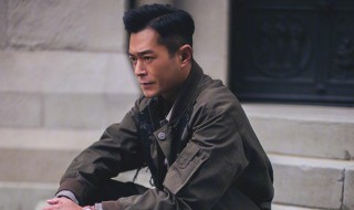 反贪风暴3演员表（反贪风暴3演员表美女）