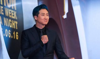 拳王演员表 独臂拳王演员表