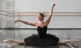 杨家将演员表(郑伊健杨家将演员表)