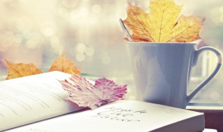 打乒乓球用英语怎么说（打乒乓球用英语怎么说写）