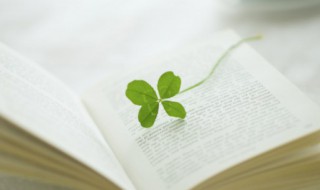 淼怎么读什么意思（淼怎么读什么意思是什么）