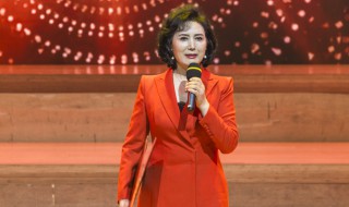 大哥电视剧演员表（大哥电视剧演员表陈总）