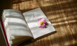 一个足一个果读什么（一个足一个果读什么字）