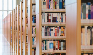 入肉念什么怎么读 入肉字念什么