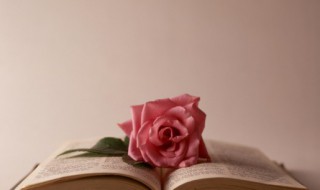 萦组词（蓄组词）