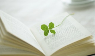 斐读什么（斐的怎么读）