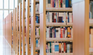 关于学习的俗语