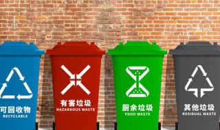 垃圾分类是哪四大类（垃圾分类是哪四大类型）