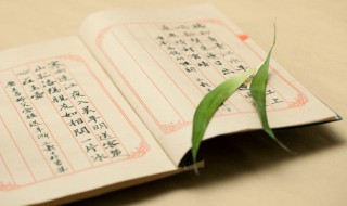 禾加念读什么 禾加及念什么