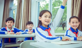 顺字组词（顺字组词有哪些）