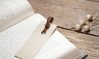 此言读什么 此言读什么字