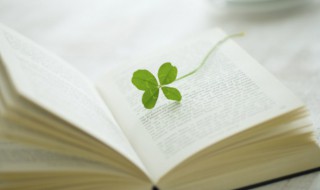 三个刀念什么字 三个刀念什么字怎么读