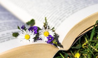 画意诗情的意思（画意诗情的意思解释）