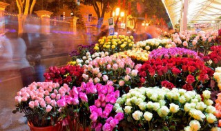 简短治愈句子(简短治愈句子5字)