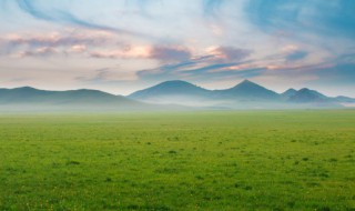 治愈系小短句 治愈系小短句书推荐