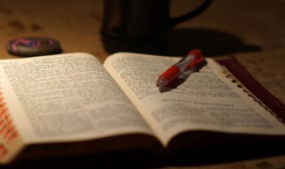 三寸鸟七寸嘴的意思（三寸鸟七寸嘴形容人）