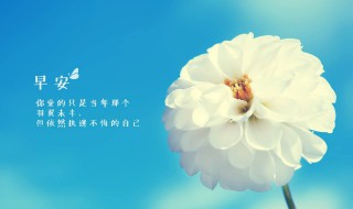 早安10个字短语（早安10个字短语该歌曲够买后单独畅享是什么意思）